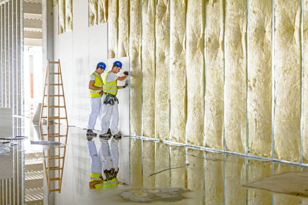 Best Geographic-Specific Insulation Services in Waterflow, NM